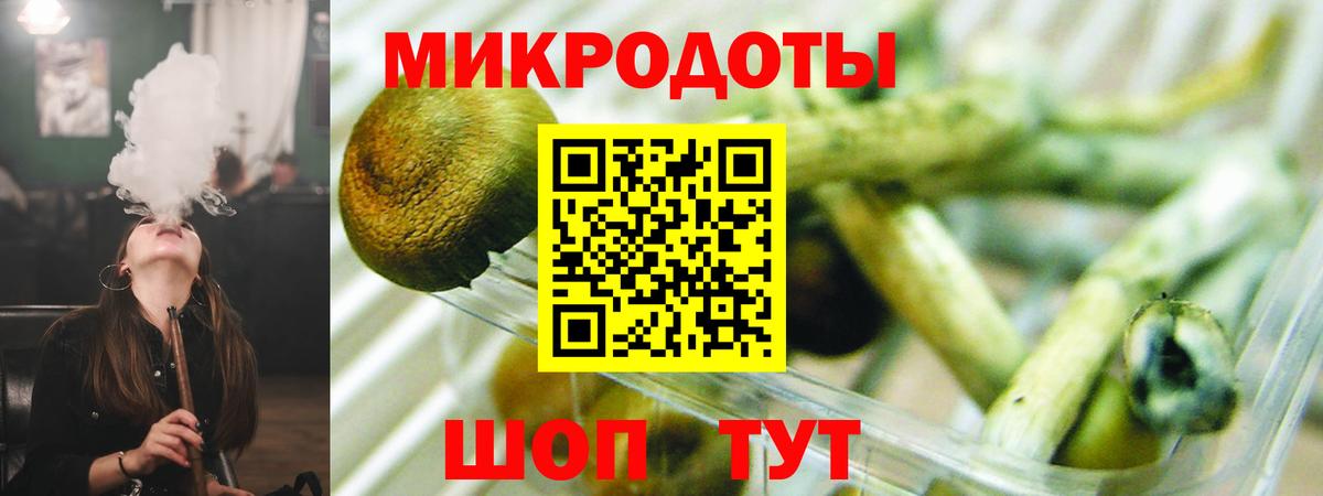 Королёв  Псилоцибиновые грибы GOLDEN TEACHER  Вход с VPN 